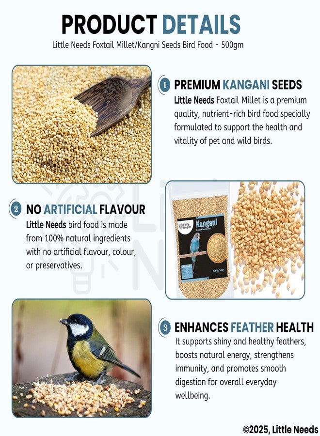Little Needs Foxtail Millet/Kangni Seeds, Bird Food - (500gm) for Canaries, Finches, Waxbills, Budgies, Lovebird, Cockatiel, Parrot & Parakeet | All Life Stages Natural Seeds for Birds - Image 3