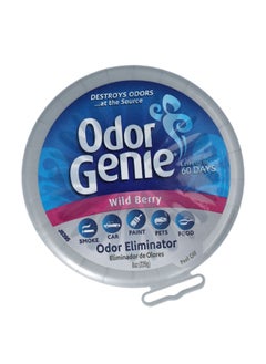 Odor Genie معطر جو برائحة التوت البري من ديلايتفول تاتش، 226 جم FG69H  - Image 3