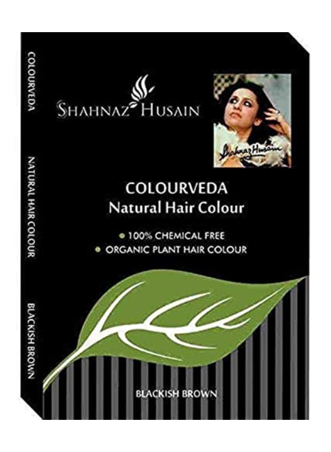 Shahnaz Husain شهنواز حسين لونفيدا لون شعر طبيعي بني داكن 100 جرام عبوة من 3 - Image 1