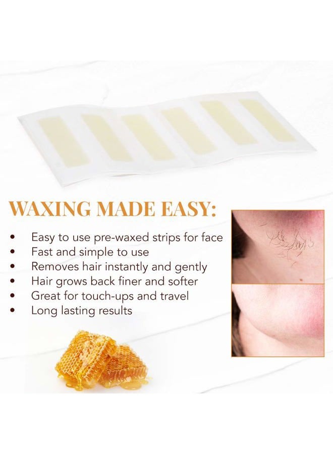 GiGi Hair Removal Wax Strips for Face, Pre-Waxed with GiGi All-Purpose Honee Formula, Facial Waxing Kit For Women, 12 Strips + Post Epilation Lotion - Image 4