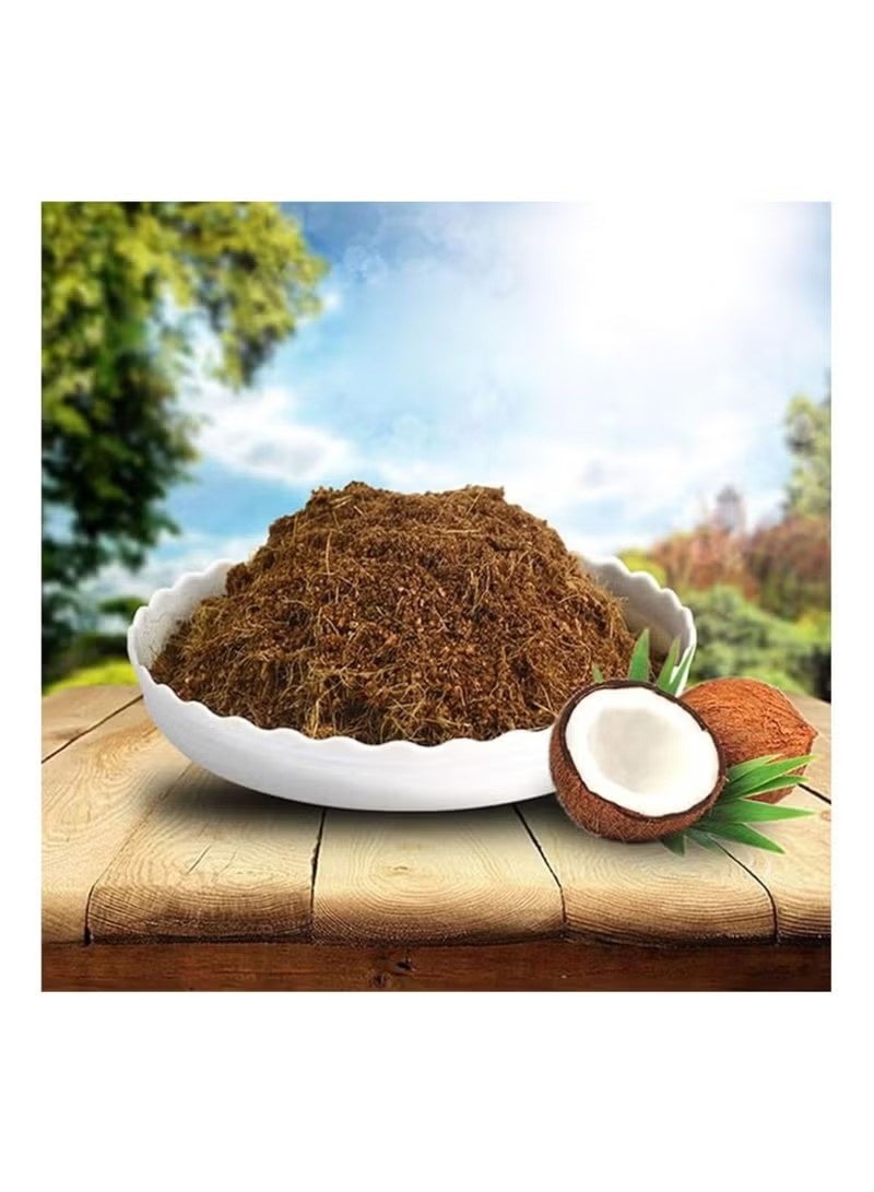 10 Pcs Compressed Coconut Peat Disk,Low-Salt Seedling Development Substrate for Seed Starting, Gardening, Potting, and Organic Plant Care – Expands with Water – Eco-Friendly Peat Moss Alternative - Image 4
