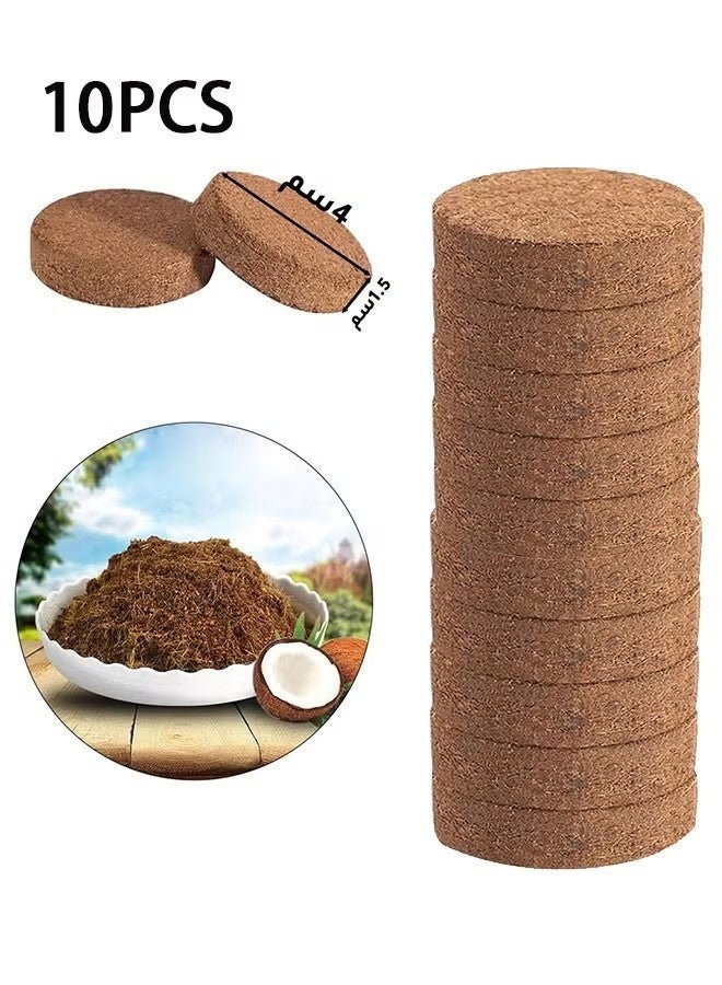 10 Pcs Compressed Coconut Peat Disk,Low-Salt Seedling Development Substrate for Seed Starting, Gardening, Potting, and Organic Plant Care – Expands with Water – Eco-Friendly Peat Moss Alternative - Image 1