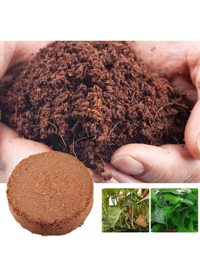 10 Pcs Compressed Coconut Peat Disk,Low-Salt Seedling Development Substrate for Seed Starting, Gardening, Potting, and Organic Plant Care – Expands with Water – Eco-Friendly Peat Moss Alternative - Image 3