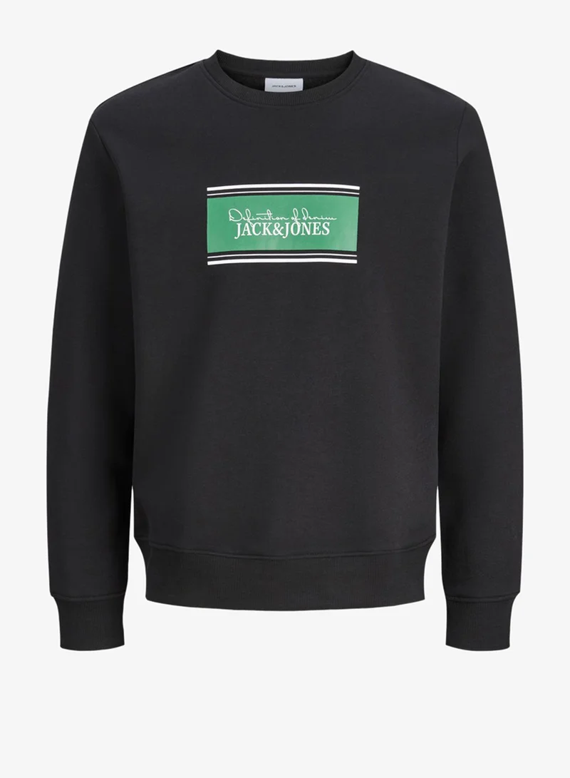 Solid Crew Neck Regular Fit Sweatshirt