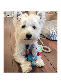 GIGWI GiGwi Plush Friendz Elephant Toy for Dogs, Non-Toxic, Soft, Plush Dog Toy with Squeaker, Gentle on Teeth & Gums, Perfect for Fetching, Snuggling, Tossing, Suitable for Small-Medium Dog Breeds, Brown  - Image 2