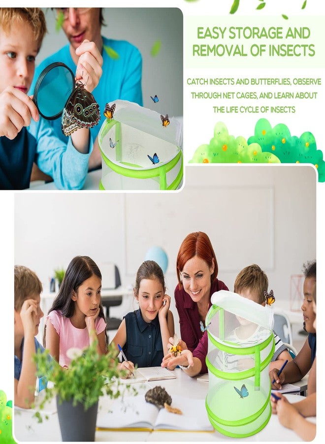 شير قفص موائل الفراشات من شير، عبوة من 4 قطع، شبكة شفافة صغيرة، حاوية موائل الفراشات، حوض زجاجي قابل للطي (12 × 14 بوصة) - Image 4