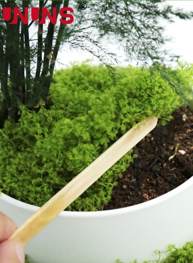 UNUNS Fake Green Moss,Evergreen Artificial Moss,500g Fake Green Moss for Potted Plants,Faux Moss for Potted Plants DIY Decorative WallsTable Centerpieces Decor Garden,Dark Green - Image 2