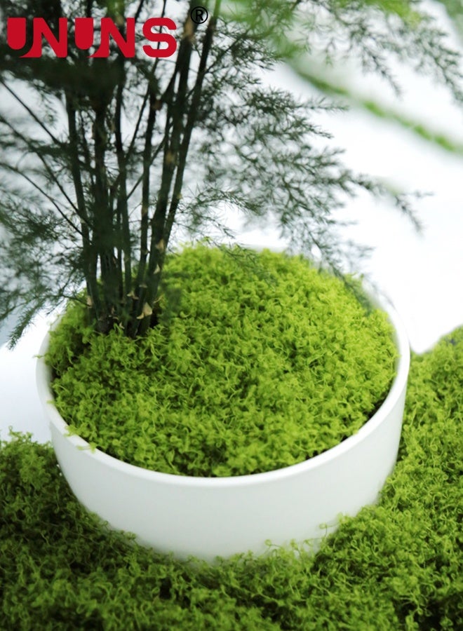 UNUNS Fake Green Moss,Evergreen Artificial Moss,500g Fake Green Moss for Potted Plants,Faux Moss for Potted Plants DIY Decorative WallsTable Centerpieces Decor Garden,Dark Green - Image 1