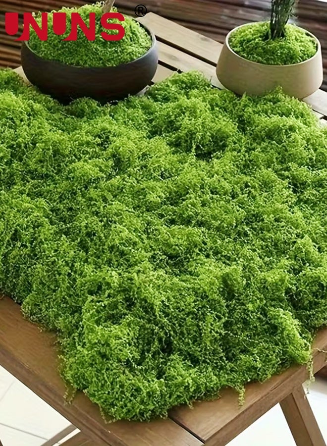UNUNS Fake Green Moss,Evergreen Artificial Moss,500g Fake Green Moss for Potted Plants,Faux Moss for Potted Plants DIY Decorative WallsTable Centerpieces Decor Garden,Dark Green - Image 3
