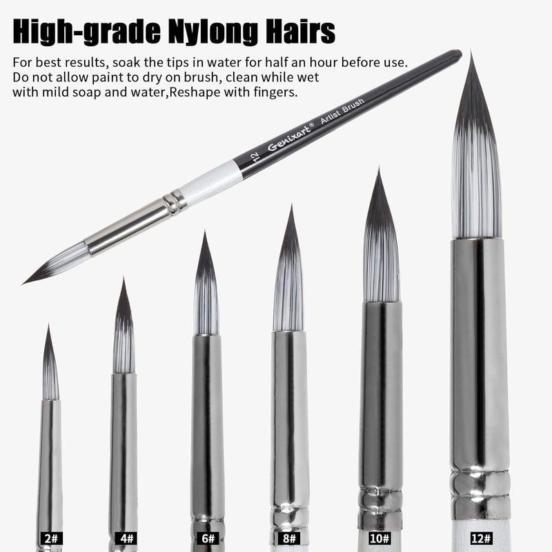 chrome Chrome Round Pointed Tip Paint Brushes Set - 6 Pcs Artist Paintbrushes for Acrylic, Oil, Watercolor Painting - Premium Nylon Hair Art Paint Brush for Beginners and Professionals - Image 3