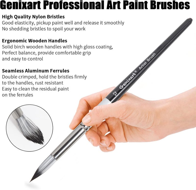 chrome Chrome Round Pointed Tip Paint Brushes Set - 6 Pcs Artist Paintbrushes for Acrylic, Oil, Watercolor Painting - Premium Nylon Hair Art Paint Brush for Beginners and Professionals - Image 4