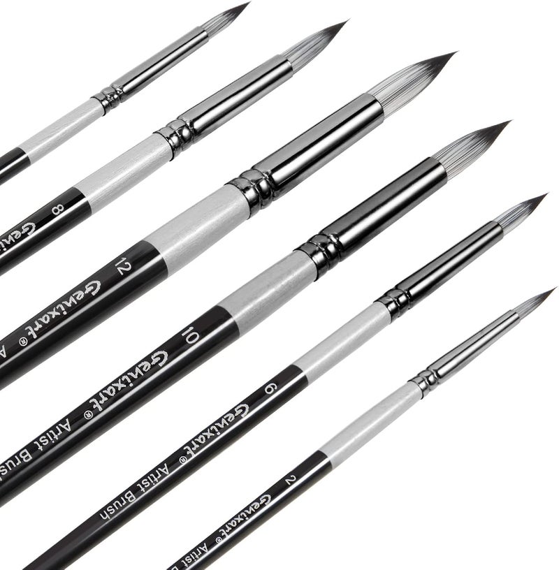chrome Chrome Round Pointed Tip Paint Brushes Set - 6 Pcs Artist Paintbrushes for Acrylic, Oil, Watercolor Painting - Premium Nylon Hair Art Paint Brush for Beginners and Professionals - Image 1