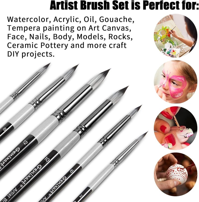 chrome Chrome Round Pointed Tip Paint Brushes Set - 6 Pcs Artist Paintbrushes for Acrylic, Oil, Watercolor Painting - Premium Nylon Hair Art Paint Brush for Beginners and Professionals - Image 2