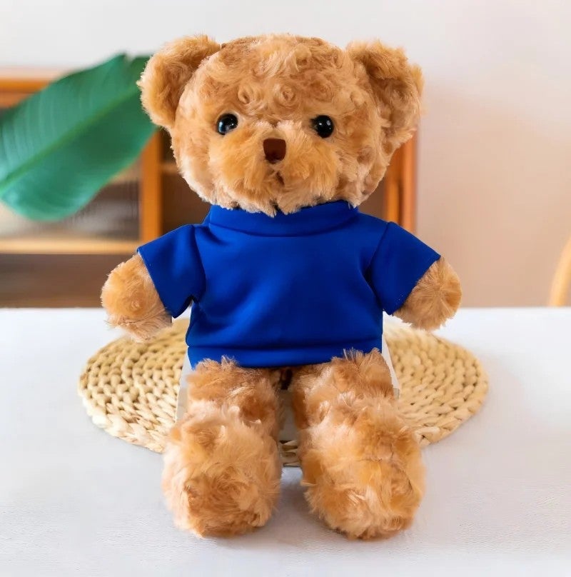 Y&D Shengye  Teddy Bear Plush Animal Children Activity Cute Doll Plushies Keychain Beauty  Gift Stuffed Teddy Bears - Image 1