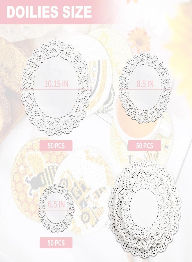 TIPTAP Disposable Paper Doilies,150PCS with sorted Sizes, 6.5IN/8.5IN/10.5IN White Lace Placemat, Tableware Decoration for Dessert Trays, Food, Parties, Crafts, Wedding and More - Image 2