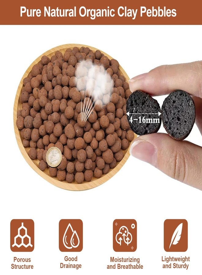Riare Organic Expanded Clay Pebbles for Plants Natural Leca Balls Lightweight Hydroponic Clay Pebbles Aggregate(5L) - Image 2