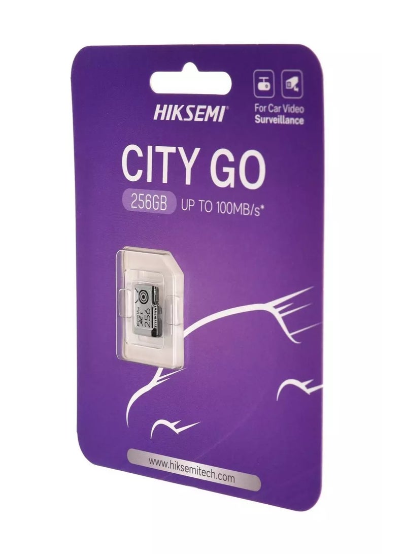 هيكسيمي بطاقة ذاكرة سيتي جو تي اف 256 جيجا، مايكرو اس دي اكس سي - Image 2