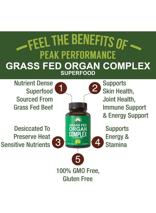 Peak Performance Peak Performance Grass Fed Beef Organ Complex from New Zealand (180 Capsules) Desiccated Organs Superfood Pills  - Image 2