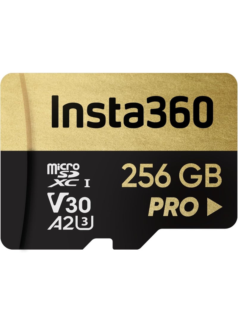 Insta360 256GB UHS-III V30 A2 MicroSD Memory Card - Image 1