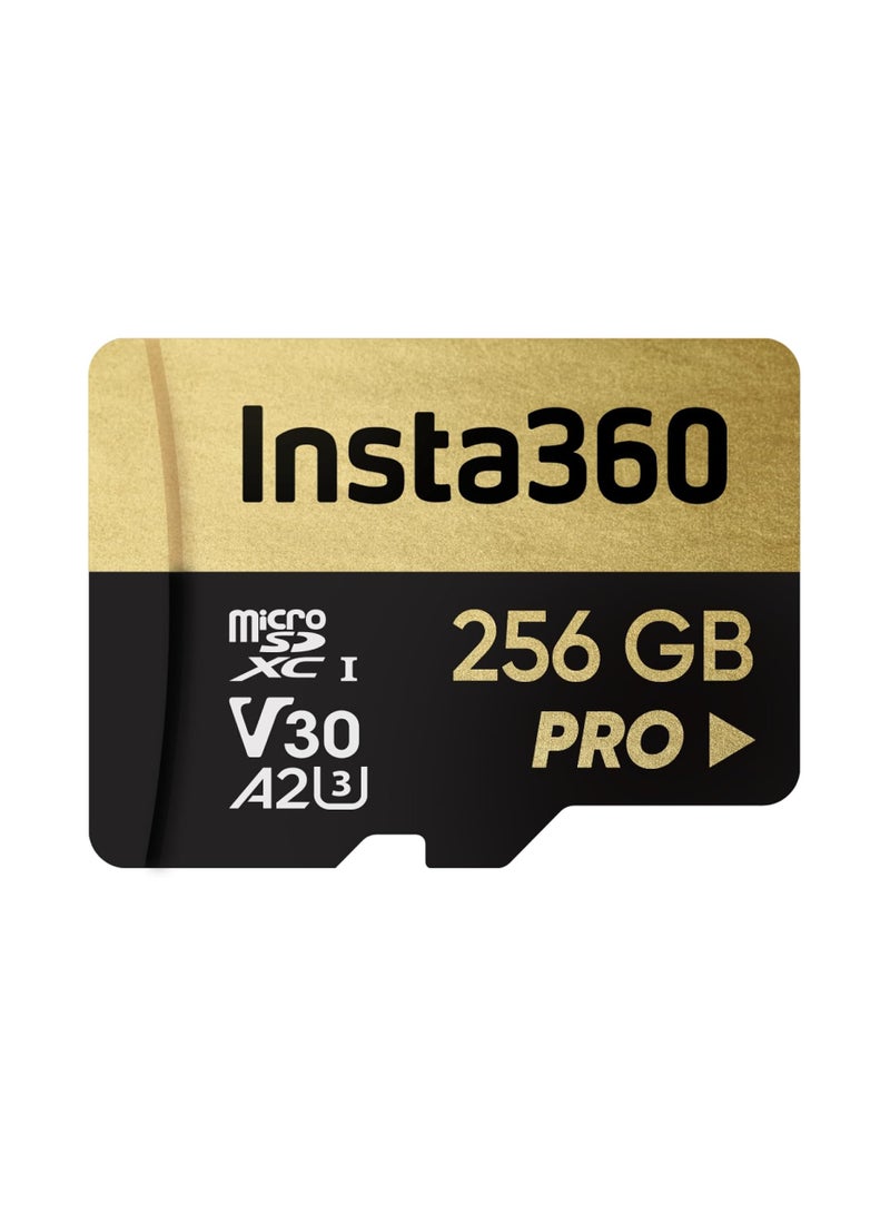 Insta360 256GB UHS-III V30 A2 MicroSD Memory Card - Image 1