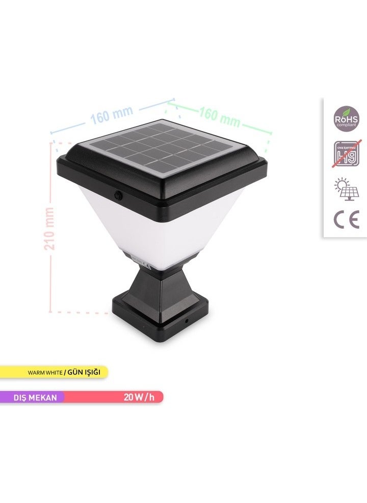 ACK - Solar LED Garden Luminaire 3000K Set Top and Pile Solar Powered Garden Lighting Transparent - Image 1