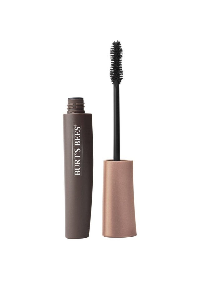 Burt's Bees BURTS BEES Classic Black Multi Benefit Mascara, 0.066 OZ - Image 1