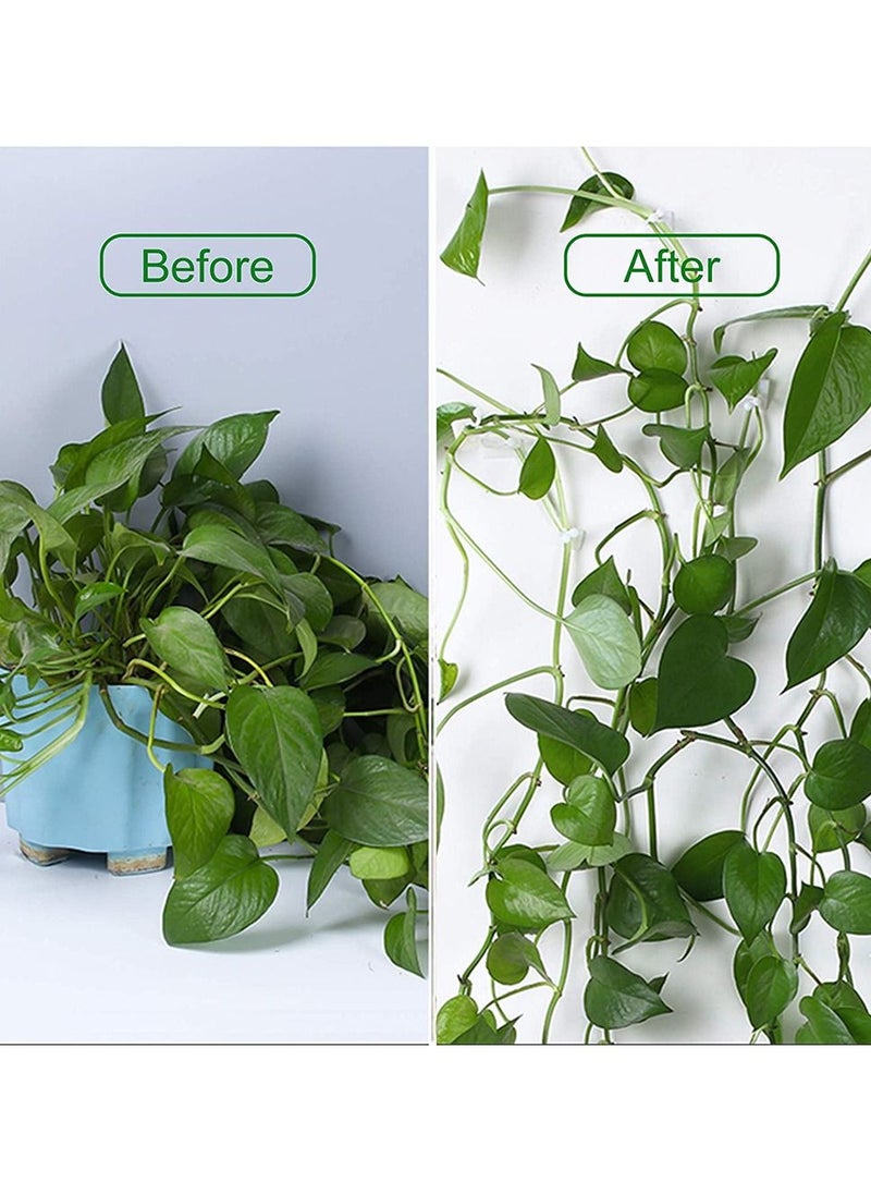 HomarKet 120 PCS Plant Vine Climbing Wall Fixture Clips - Green 3 Different Size Plant Support Plant Fixer Self-Adhesive Sticky Hook Plant Vine Traction Vines Fixing Clip Vines Holder (Green)  - Image 5
