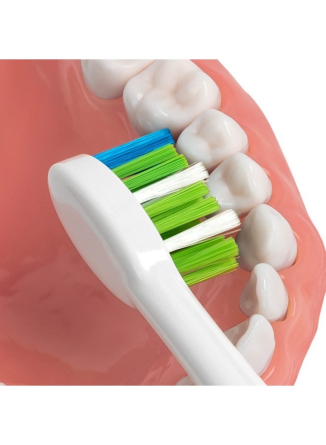 Waterpik Sensonic Replacement Contour Brush Heads, 3 Toothbrush Heads, White STWB-3WW-B - Image 4