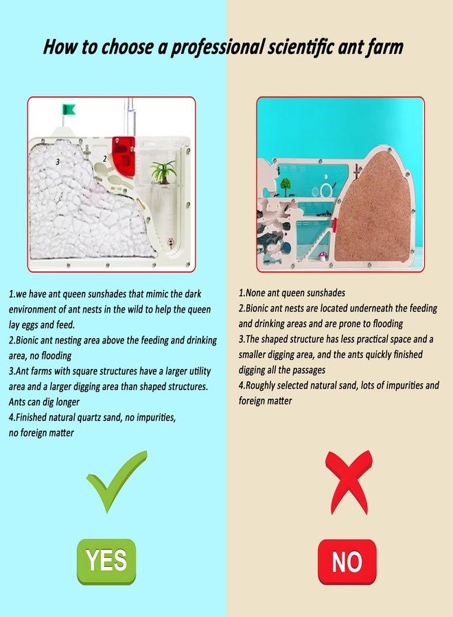 EXBEPE Sand Ant Farm Castle for Kids,Large Ant Habitat to Study Insect Behavior,Ant Colony Ecosystem Science Educational Gift for Classroom - Image 2