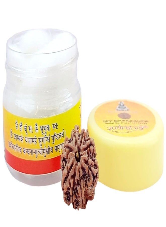 Rudratva 8 Mukhi/Faced Nepali Rudraksha Bead | Natural Eight-Mukhi Rudraksha Nepal Origin | Lab Certified 18-22 mm | for Men & Women - Image 1
