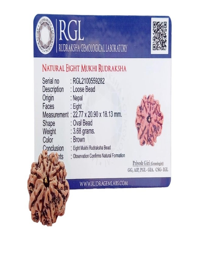 Rudratva 8 Mukhi/Faced Nepali Rudraksha Bead | Natural Eight-Mukhi Rudraksha Nepal Origin | Lab Certified 18-22 mm | for Men & Women - Image 5