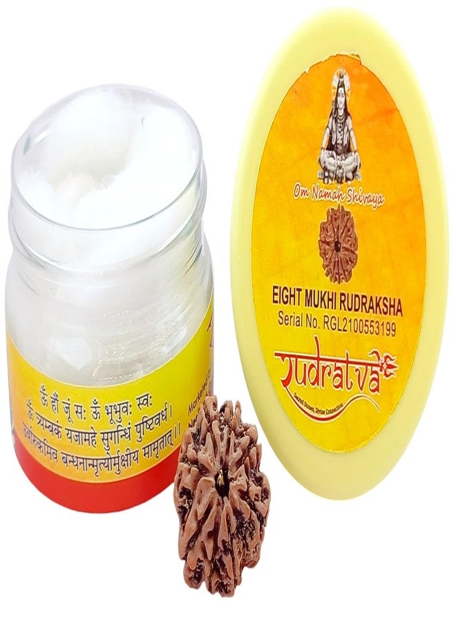 Rudratva 8 Mukhi/Faced Nepali Rudraksha Bead | Natural Eight-Mukhi Rudraksha Nepal Origin | Lab Certified 18-22 mm | for Men & Women - Image 3
