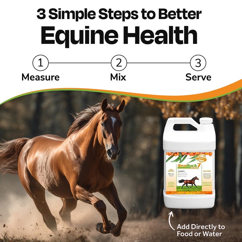 SeaBuck 7 Equine Supplement for Horses with Sea Buckthorn to Improve Horse Health (3-6 Week Supply, 1 Gallon) - Supports Healthy Eating & Digestion, Increased Energy/Focus, & Shiny Coats for Horses - Image 5