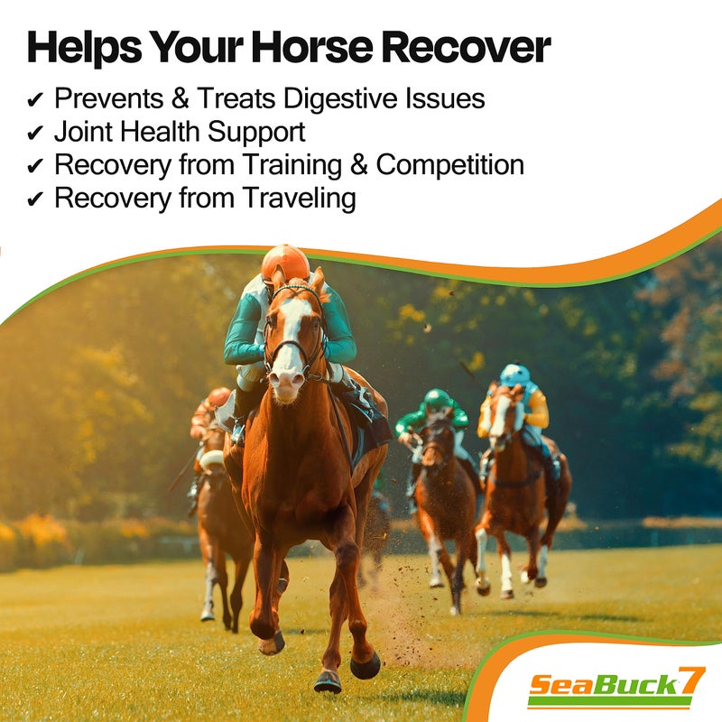SeaBuck 7 Equine Supplement for Horses with Sea Buckthorn to Improve Horse Health (3-6 Week Supply, 1 Gallon) - Supports Healthy Eating & Digestion, Increased Energy/Focus, & Shiny Coats for Horses - Image 3