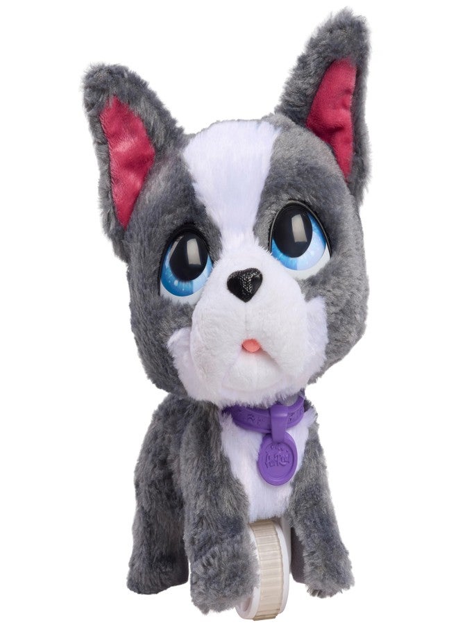 فور ريل لعبة كلب تفاعلية من نوع FurReal Walk-A-Lots French Bulldog - Image 4