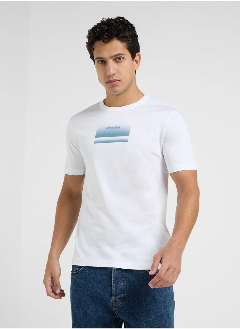 CALVIN KLEIN Graphic Logo Crew Neck T-Shirt