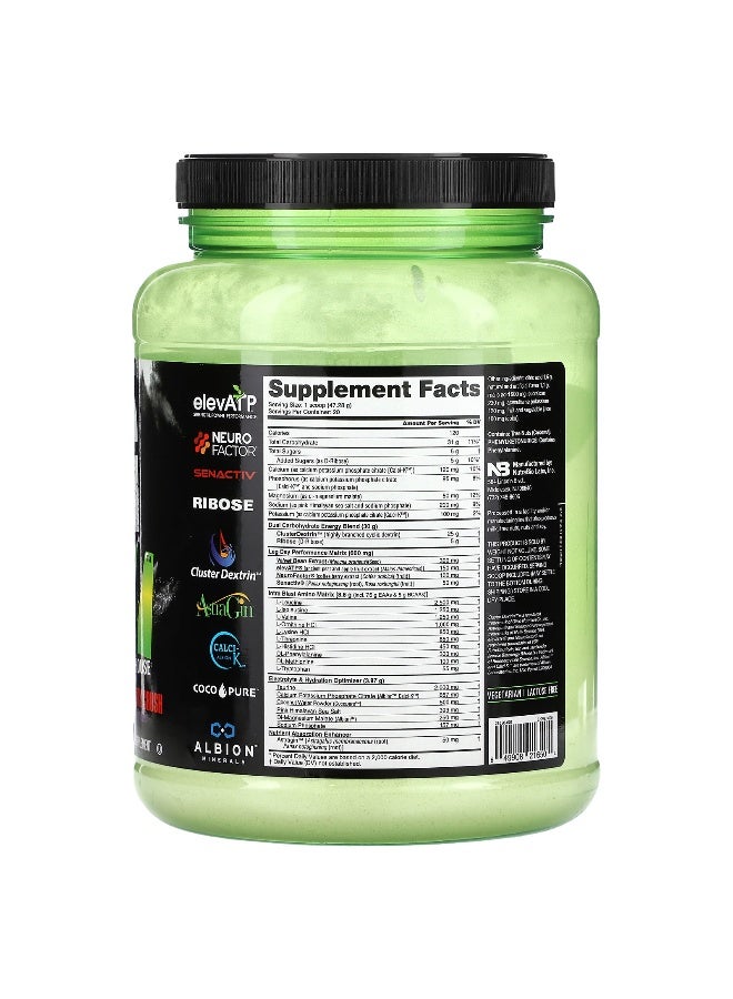 NutraBio NutraBio, Intra Fuel, Leg Day, Grape Berry Crush, 2.08 lb (946 g)  - Image 2