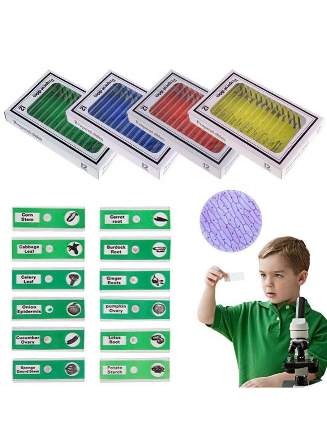 Bysameyee Bysameyee Prepared Microscope Slides for Kids, 48pcs Plastic Animals Insects Plants Flowers Sample Specimens for Students Children Homeschooling Biology Science Programs  - Image 2