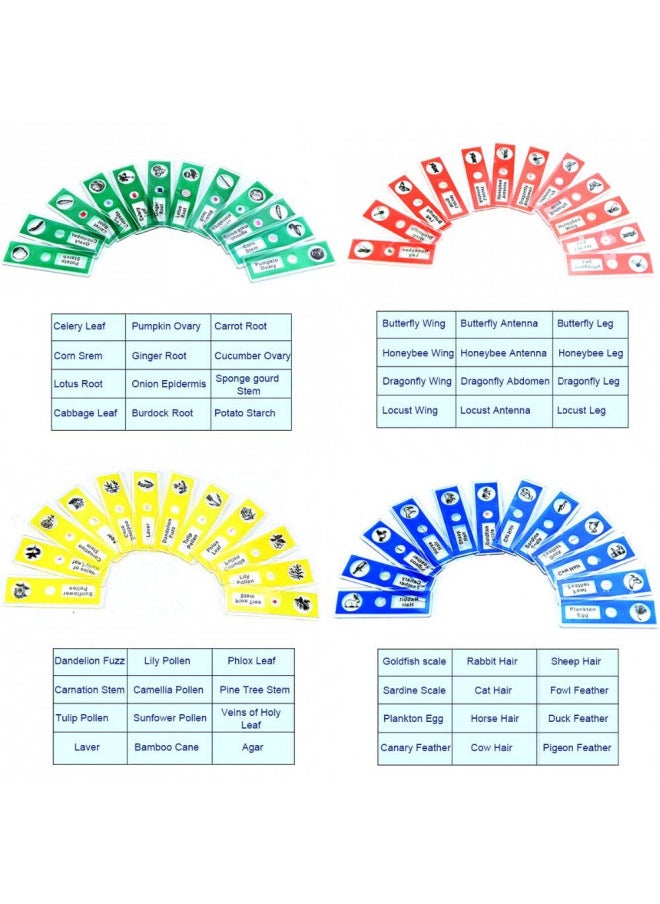 Bysameyee Bysameyee Prepared Microscope Slides for Kids, 48pcs Plastic Animals Insects Plants Flowers Sample Specimens for Students Children Homeschooling Biology Science Programs  - Image 4