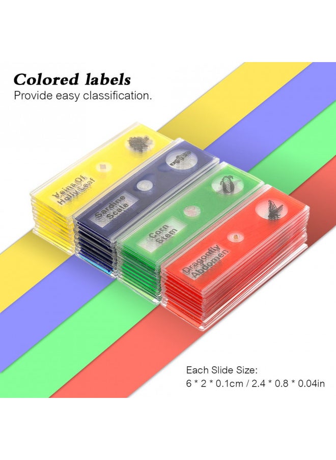 Bysameyee Bysameyee Prepared Microscope Slides for Kids, 48pcs Plastic Animals Insects Plants Flowers Sample Specimens for Students Children Homeschooling Biology Science Programs  - Image 3