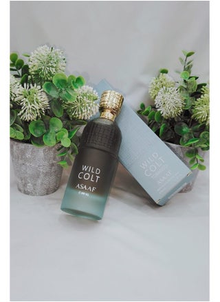 WILD COLT ASAAF 200 ML - pzsku/ZAA9D86721395E668A6D4Z/45/_/1735979693/053cfb1a-9a51-4e43-9e13-7149f7148252