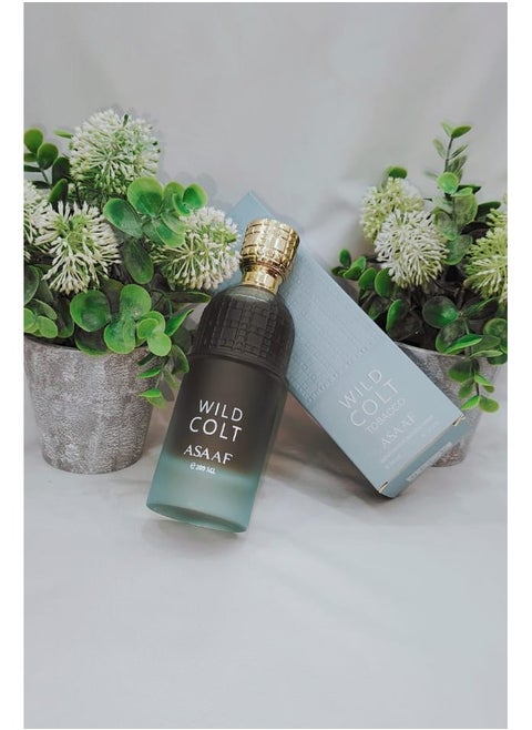 WILD COLT ASAAF 200 ML