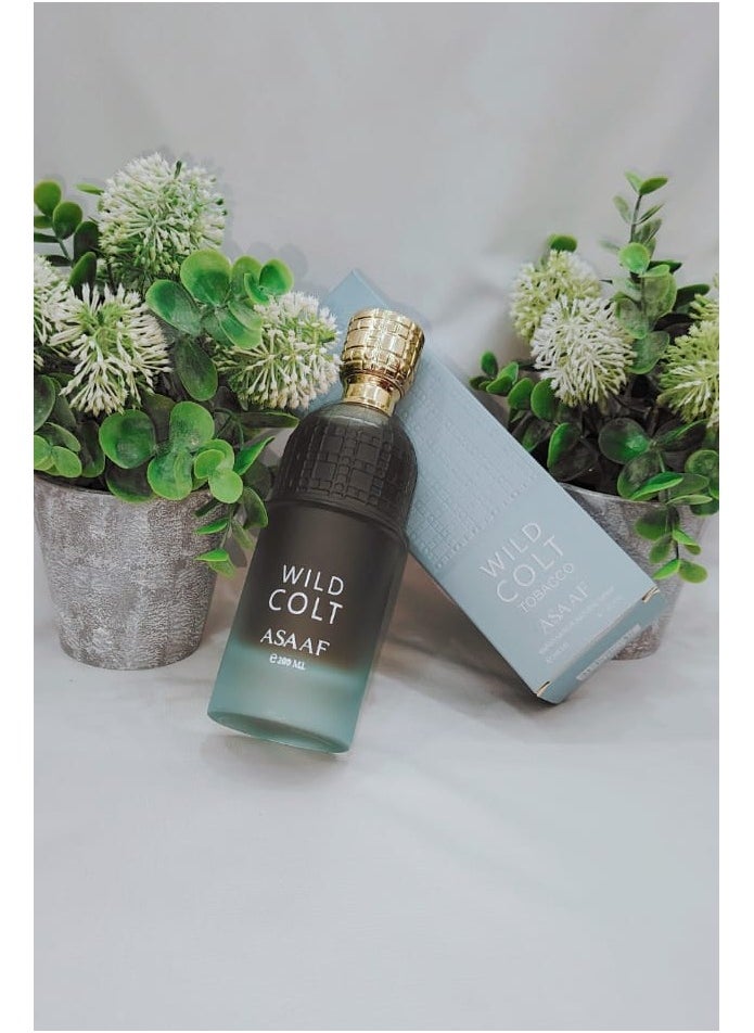WILD COLT ASAAF 200 ML