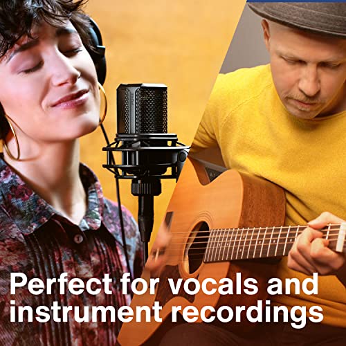 Lewitt LCT 440 Pure Single-Pattern 1" XLR Unidirectional Large Diaphragm Studio Condenser Microphone (Black) - Image 3