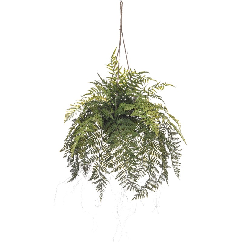 Homez artificial plant rumohra adiantiformis hanging in pot, green 60*60*80cm