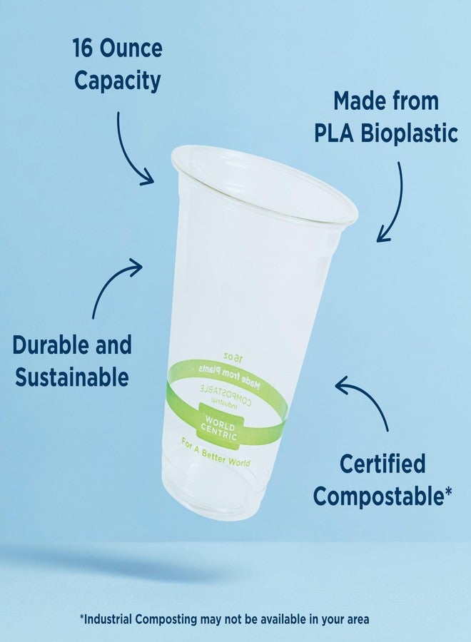World Centric Compostable Clear Cold Cups, 16 Oz (Pack of 20), PLA Beverage Cup Made from Plants and Minerals, Sustainable, Strong, Perfect for Iced Coffee, Iced Tea & Smoothies - Image 2