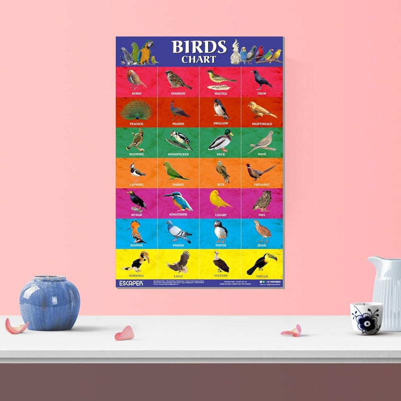 ESCAPER Birds Educational Charts for Kids, Charts for Kids Learning (11.5 x 17.5 inches), Kids Study Material, Kids Learning Books, Educational Posters - Image 5