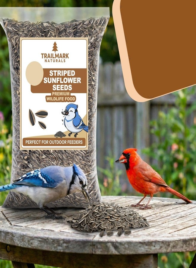 TRAILMARK NATURALS Striped Sunflower Seeds, Shelled Seeds for Birds – Premium Wildlife & Bird Food – Grown in USA - Striped Sunflowers for Backyard Feeders and Wild Birds (5 LB) - Image 2