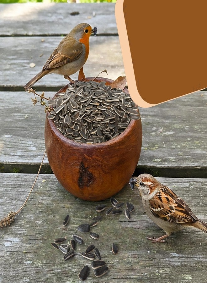 TRAILMARK NATURALS Striped Sunflower Seeds, Shelled Seeds for Birds – Premium Wildlife & Bird Food – Grown in USA - Striped Sunflowers for Backyard Feeders and Wild Birds (5 LB) - Image 4