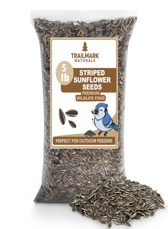TRAILMARK NATURALS Striped Sunflower Seeds, Shelled Seeds for Birds – Premium Wildlife & Bird Food – Grown in USA - Striped Sunflowers for Backyard Feeders and Wild Birds (5 LB) - Image 1